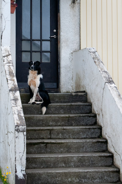 Islanda_2012_ISL_2817